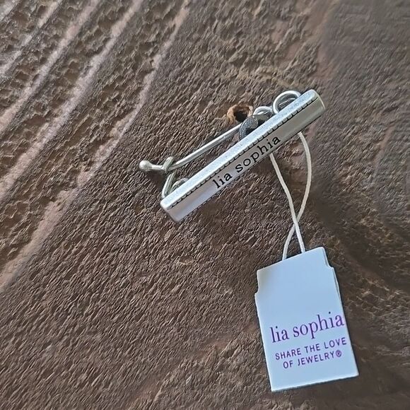 Lia Sophia Brand Jewelry Silver Retired Necklace Extender Shortener New - Picture 4 of 10